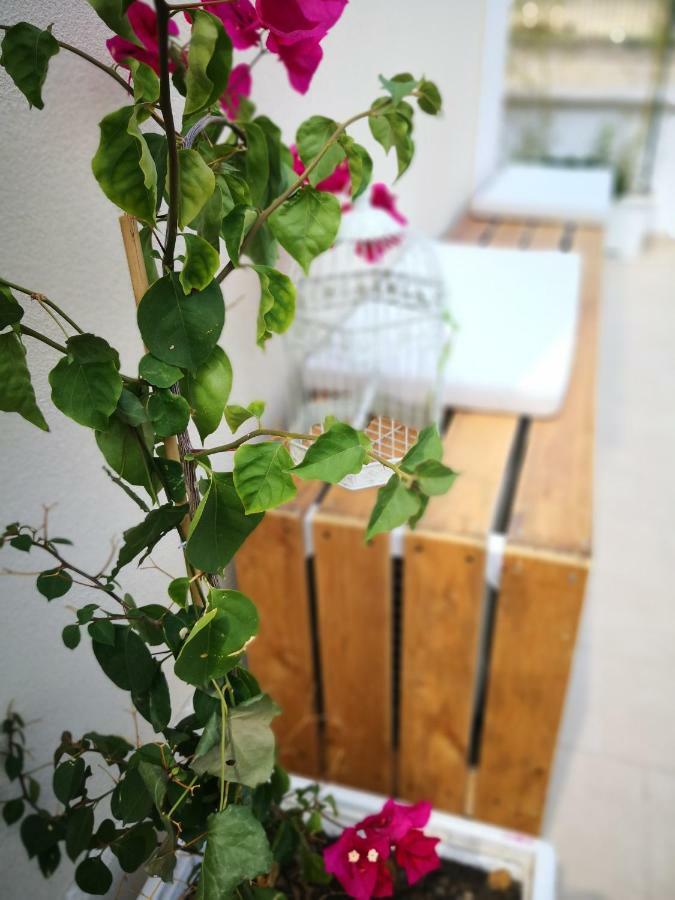 Bed and Breakfast La Roche Lecce Zewnętrze zdjęcie